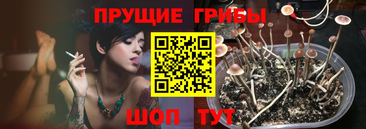 Саранск  Галлюциногенные грибы Magic Shrooms  Вход с VPN 